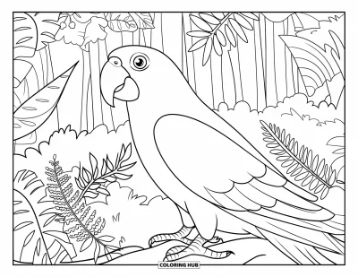 Coloriage de Porto Rico pour adultes : Un perroquet de Porto Rico posé sur une branche entouré de feuilles et de fougères de la forêt tropicale