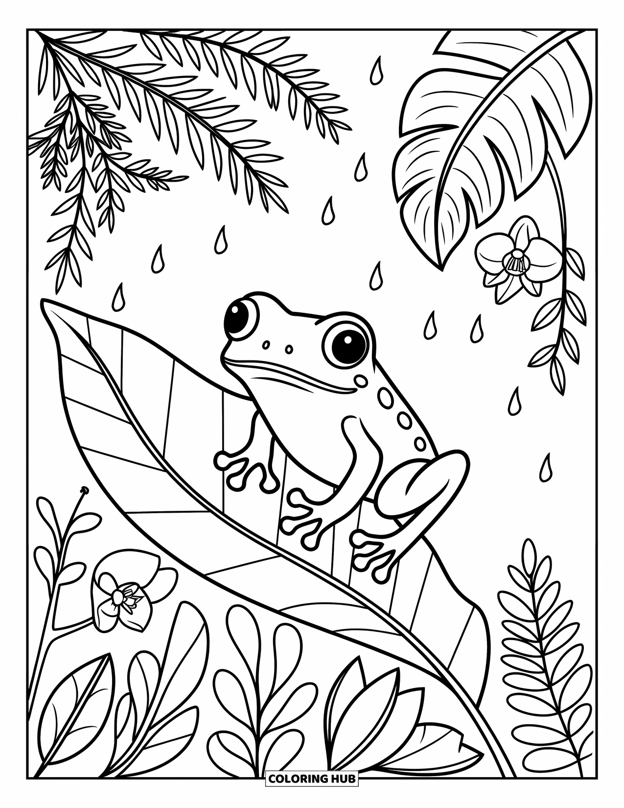Puerto Rico Coloring Page for Adults: A sweet coquÍ frog perches on a big leaf in a rainforest scene