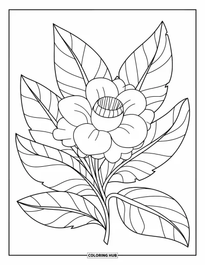 Coloriage de Porto Rico pour enfants : Une Flor de Maga en fleurs parmi de grandes feuilles tropicales portoricaines