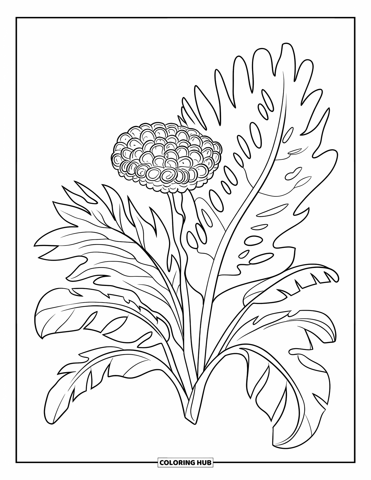 Puerto Rico Coloring Page for Kids: A Flor de Maga with wavy leaves glows in a tropical scene