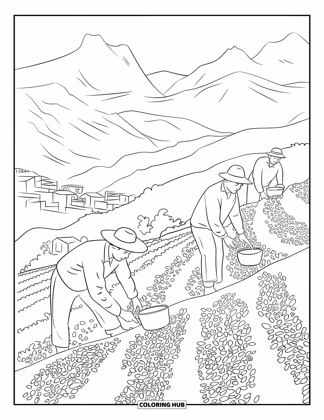 Puerto Rico Coloring Page for Kids: Farmers harvest coffee beans on Puerto Rico's misty mountain slopes