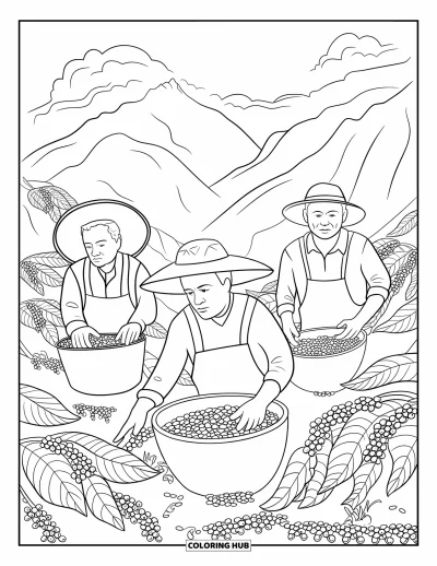 Coloriage de Porto Rico pour enfants : Des fermiers souriants récoltent des grains de café mûrs dans les montagnes de Porto Rico
