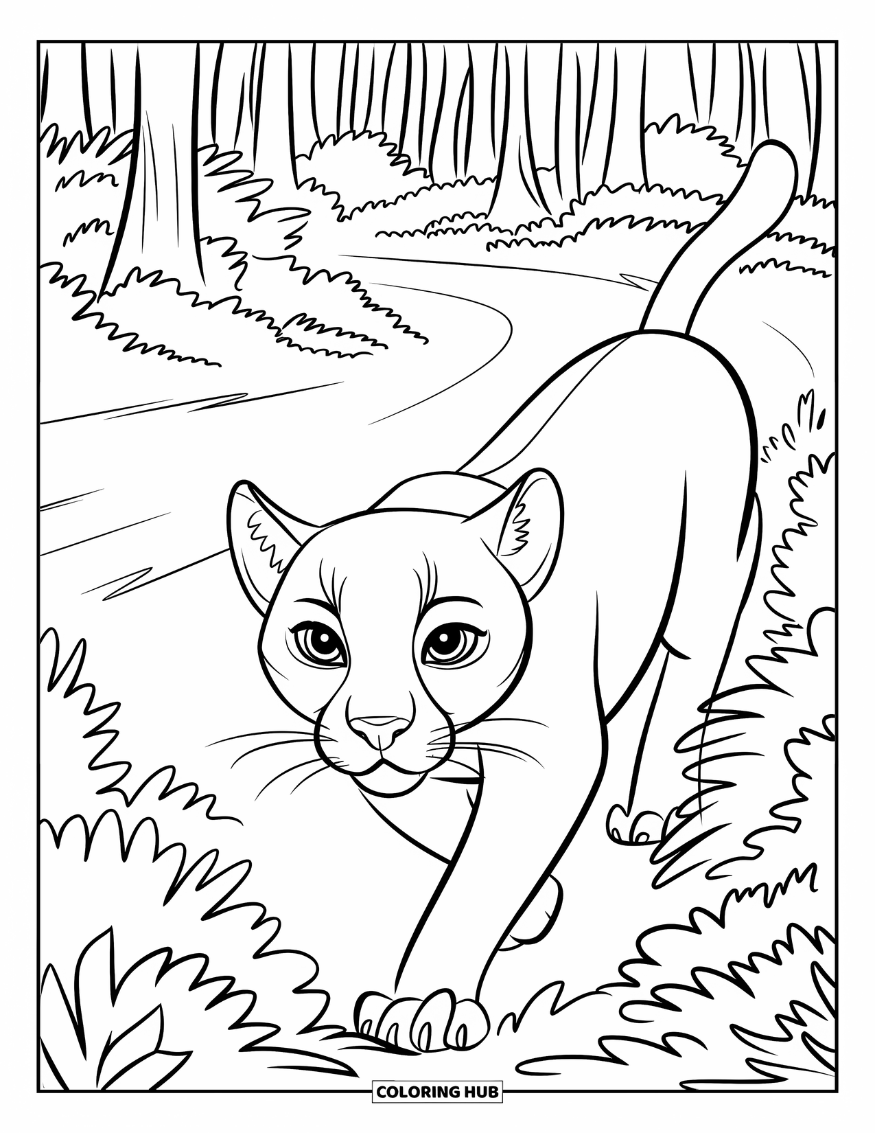 Puma Coloring Page for Kids: A black puma with a white face moves silently through a forest path