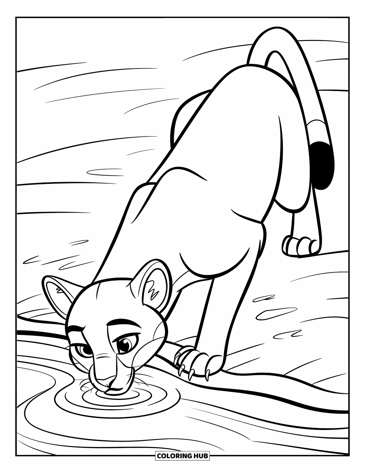 Puma Coloring Page for Kids: A puma drinks peacefully from a stream, surrounded by gentle ripples
