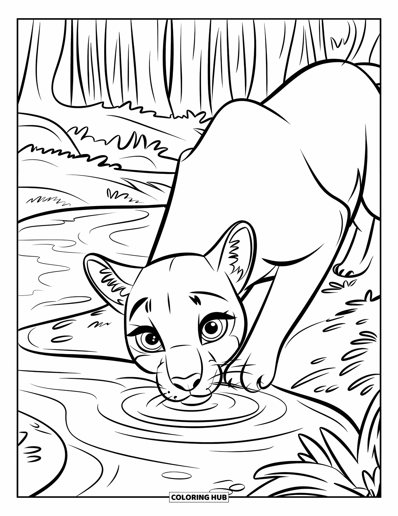 Puma Coloring Page for Kids: A thirsty puma drinks from a stream surrounded by forest trees
