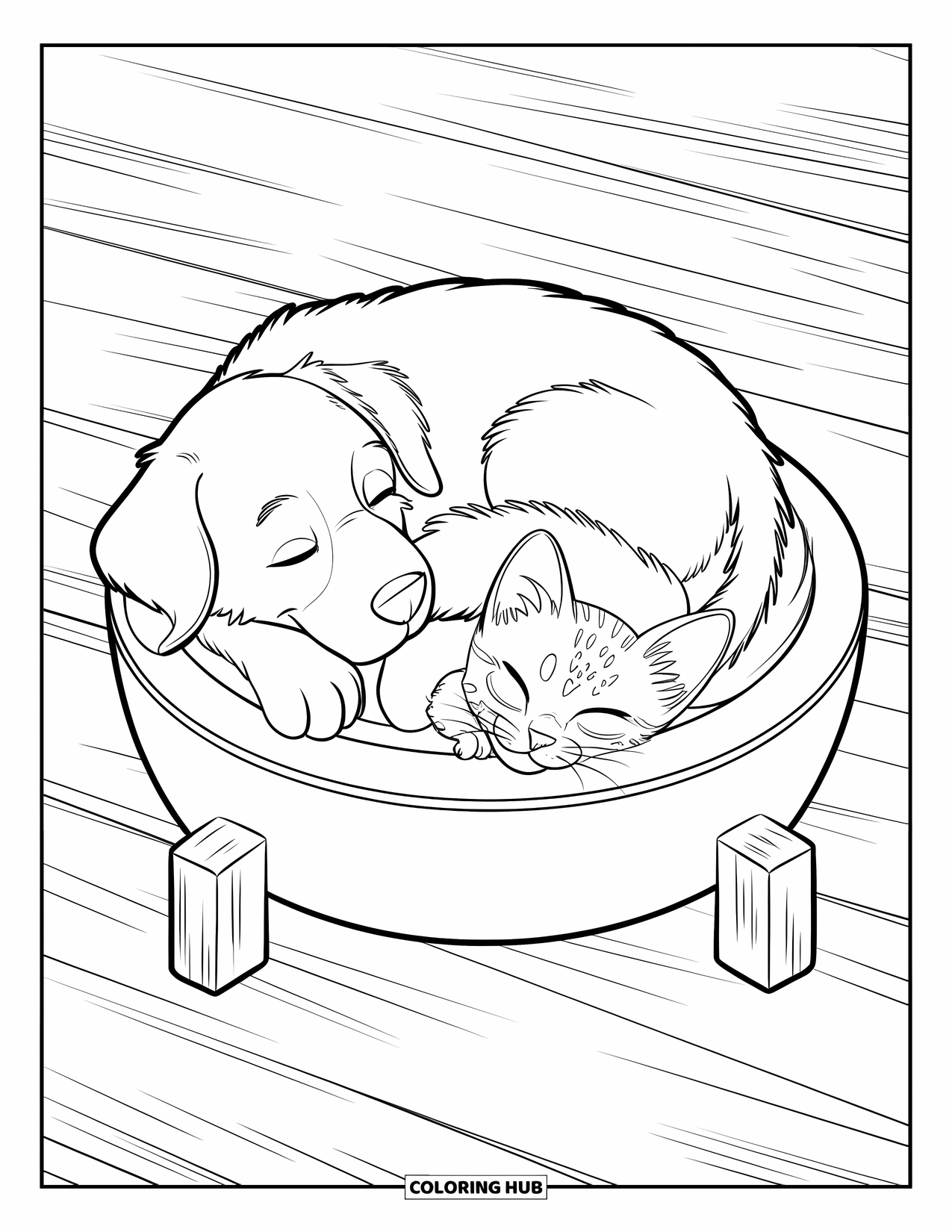 Puppy And Kitten Coloring Page for Kids: A peaceful pair of pets sleep curled up together in a single bowl