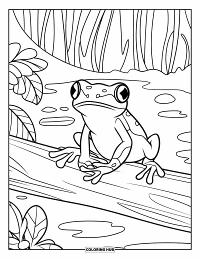 Regenwaldtiere-Ausmalbild für Kinder: Ein großäugiger Frosch sitzt fröhlich auf einem nassen Baumstamm neben Blattpflanzen
