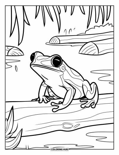 Regenwaldtiere-Ausmalbild für Kinder: Ein Pfeilgiftfrosch sitzt auf einem nassen Baumstamm, umgeben von Pflanzen