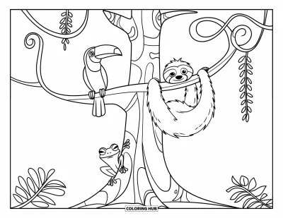 Regenwaldtiere-Ausmalbild für Kinder: Ein Tukan sitzt auf einem Ast, während ein Faultier und ein Frosch sich einen gemütlichen Baum im Dschungel teilen