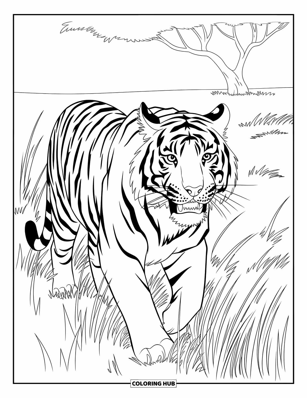 Wildlife Coloring Page for Kids: A tiger walking through tall grass under a lone savanna tree