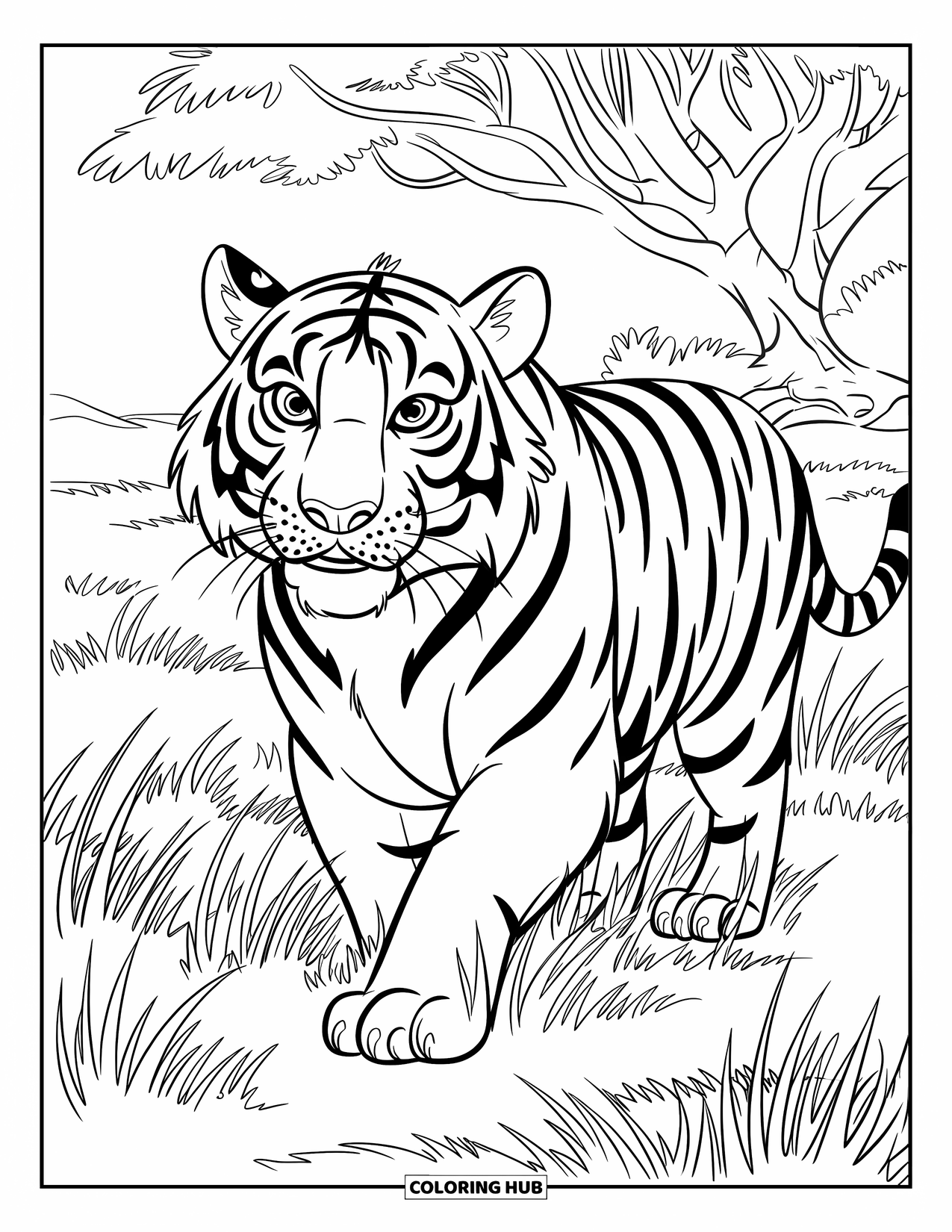 Wildlife Coloring Page for Kids: A tiger with bright eyes strolling across grassy plains