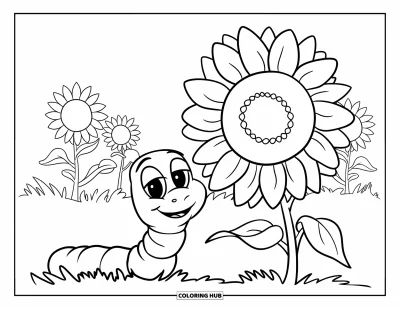 Insects