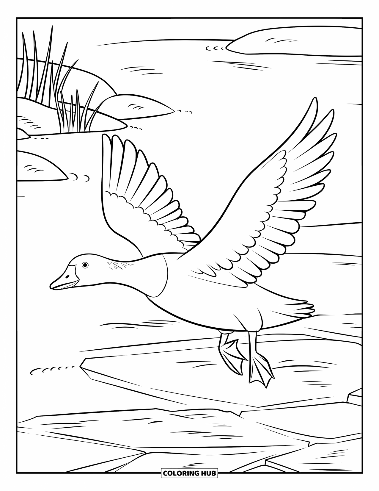 Arctic Animals Coloring Page for Kids: A goose spreads its wings above snow-covered plains