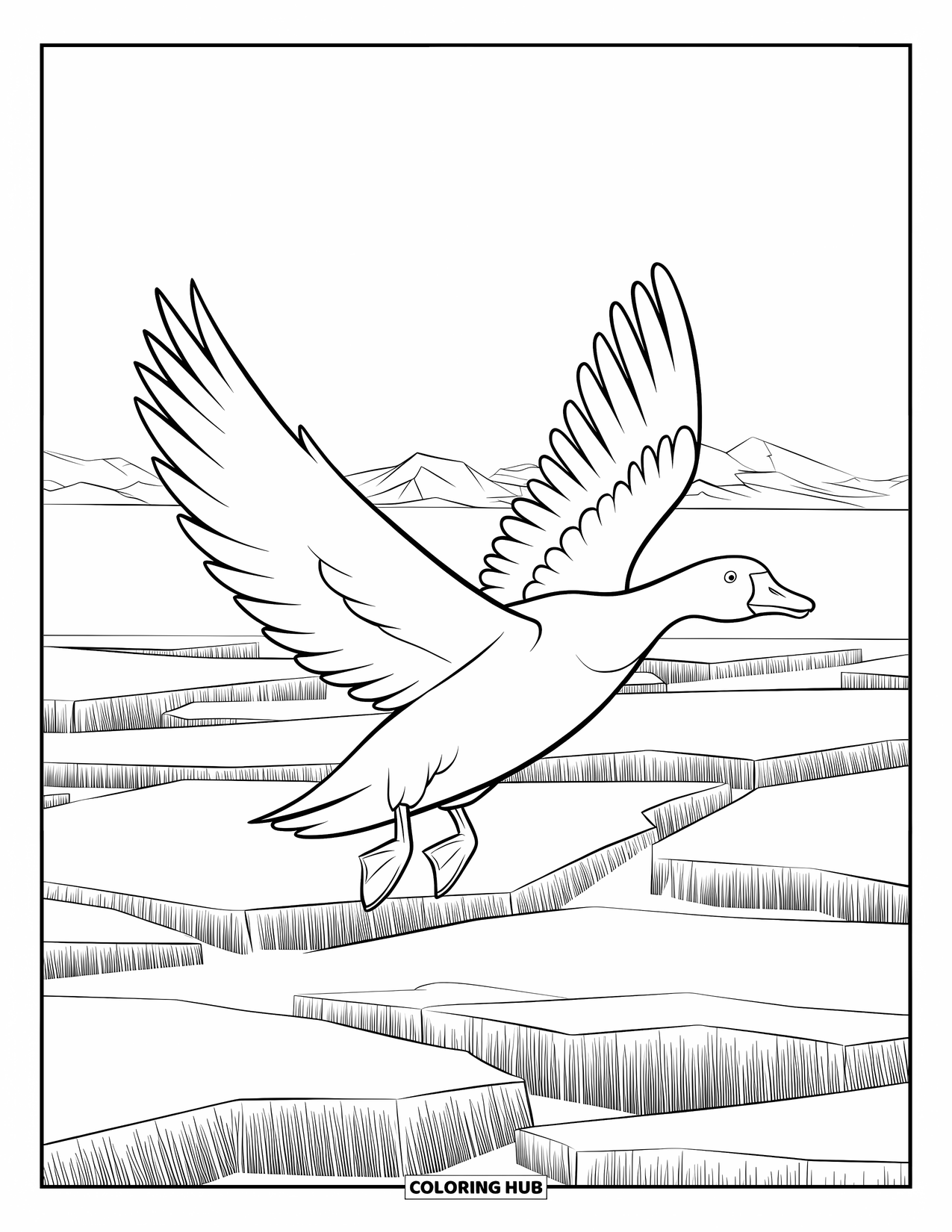 Arctic Animals Coloring Page for Kids: A snow goose lands gracefully on fractured Arctic ice