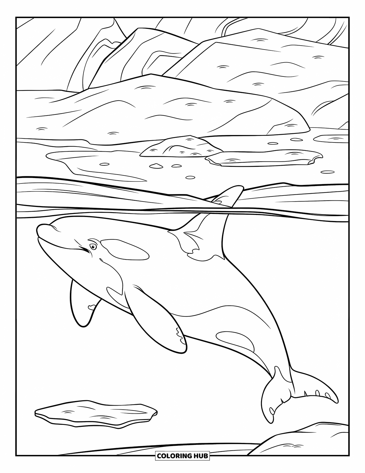 Arctic Animals Coloring Page for Kids: An orca glides just under cracked ice in frigid waters