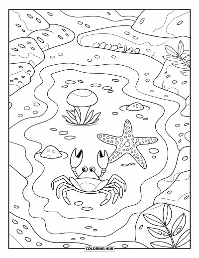 Coloriage de plages estivale pour enfants : Une mare de marée tranquille avec un crabe, une étoile de mer et des algues