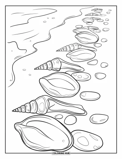 Coloriage de plages estivale pour enfants : Une rangée de coquillages et de galets lisses sur la plages sablonneuse