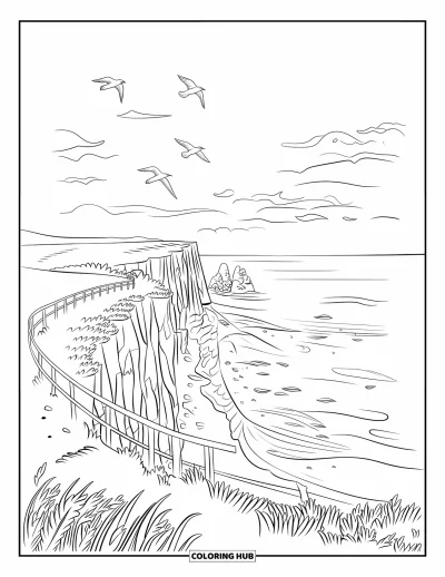 Coloriage de plages estivale pour enfants : Une falaise pittoresque avec de douces vagues et des oiseaux marins planant dans les airs