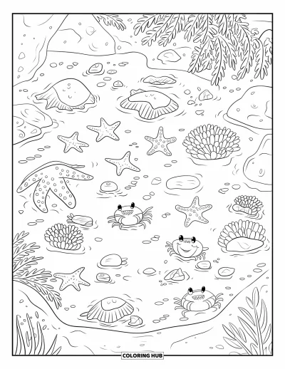 Coloriage de plages estivale pour enfants : Une petite mare de marée remplie d'étoiles de mer, de crabes et d'anémones de mer