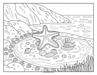 Coloriage de bleu pour adultes : Une mare côtière paisible avec une étoile de mer, des coquillages et de douces vaguelettes