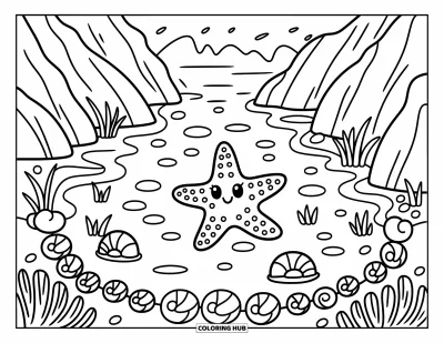 Coloriage de bleu pour adultes : Une jolie étoile de mer parmi des galets et des coquillages dans une mare ensoleillée
