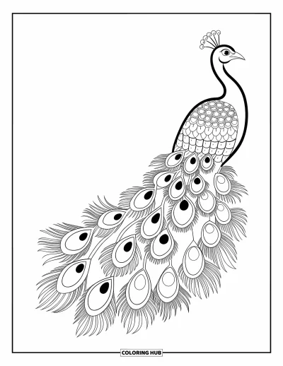 Coloriage de bleu pour adultes : Un paon détaillé aux contours prononcés et à l'élégante queue de style mandala