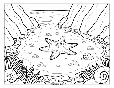 Coloriage de bleu pour adultes : Une mare de bord de mer tranquille avec une étoile de mer, des galets et des herbes marines sur le rivage
