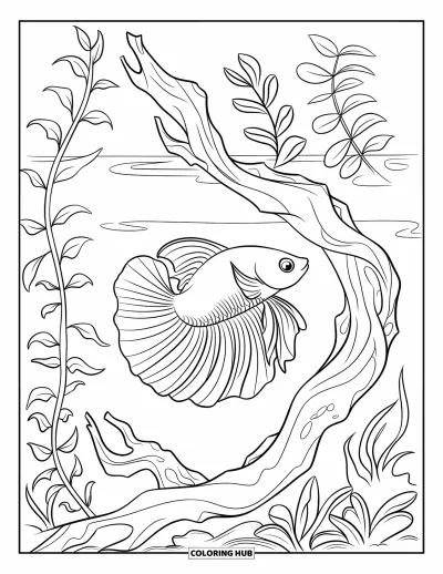 Coloriage de bleu pour enfants : Un poisson combattant glissant parmi des plantes ondulantes et du bois flotté sous l'eau