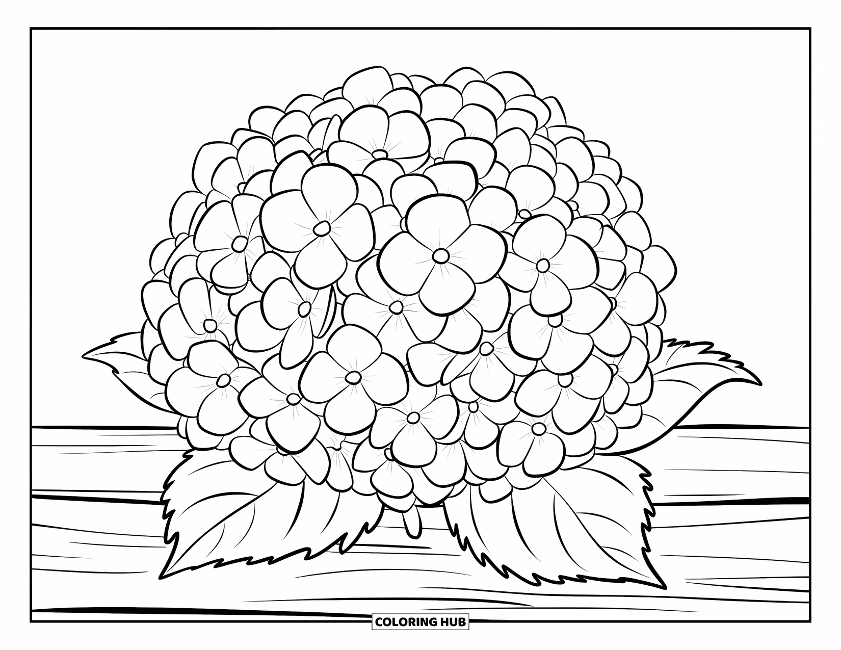 Blue Coloring Page for Kids: A blooming hydrangea resting on a wooden surface with leaves below
