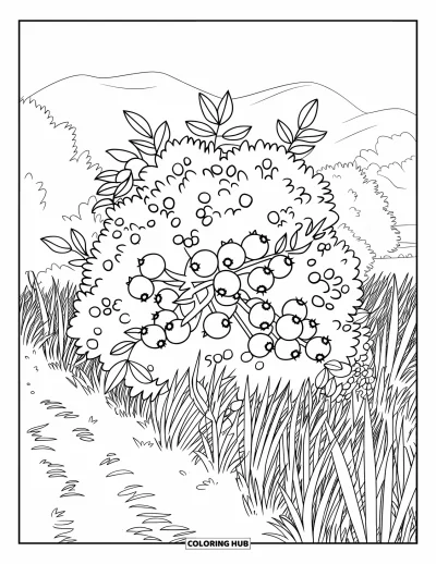 Coloriage de bleu pour enfants : Un buisson de myrtilles qui pousse le long d'un chemin herbeux avec des arbres au fond