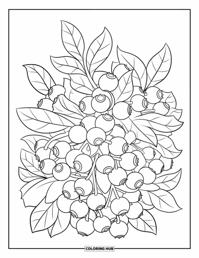 Coloriage de bleu pour enfants : Un buisson chargé de myrtilles mûres et de feuilles vertes
