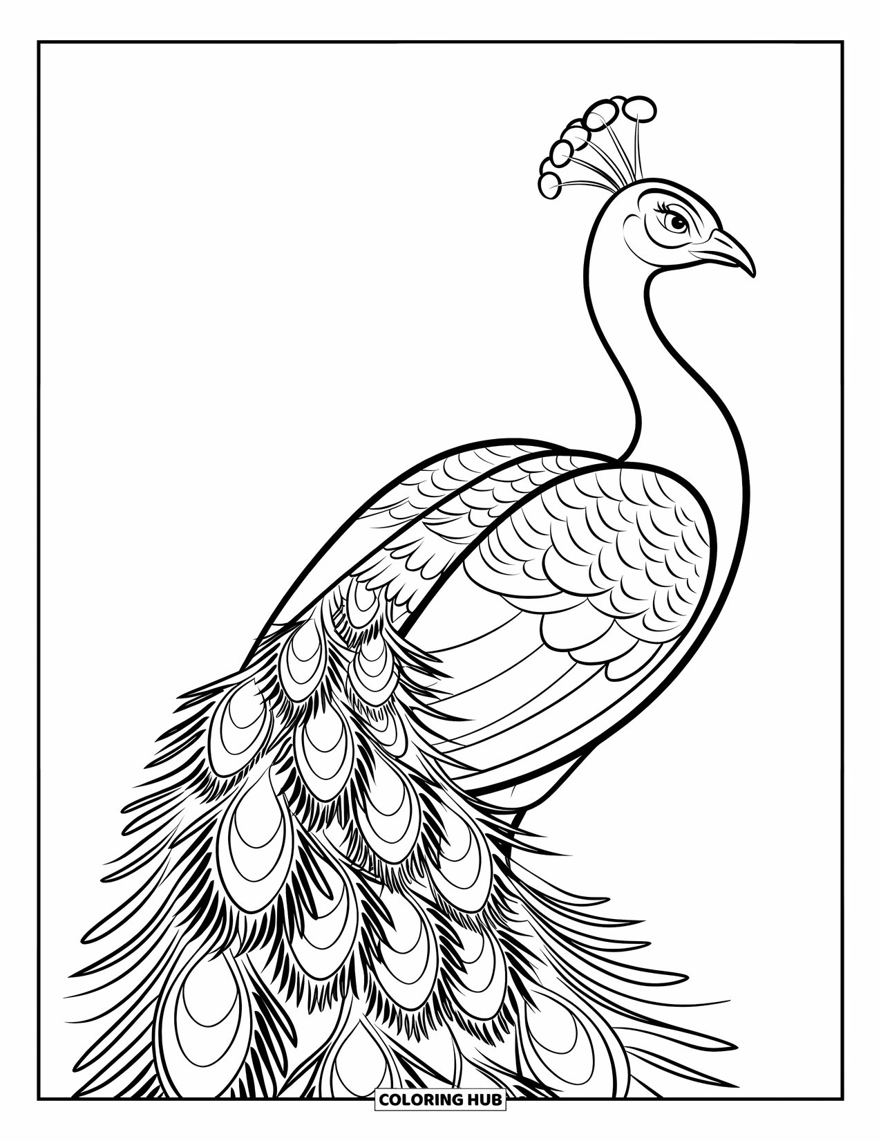 Blue Coloring Page for Kids: A calm peacock with its feathers down and a proud pose