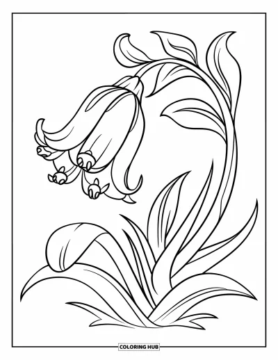Coloriage de bleu pour enfants : Une fleur de jacinthe des bois courbée entourée de feuilles vertes et de vrilles