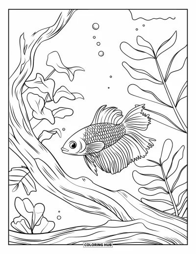 Coloriage de bleu pour enfants : Un poisson combattant aux nageoires fluides nageant tranquillement parmi des plantes et du bois flotté