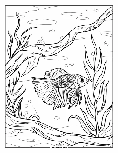 Coloriage de bleu pour enfants : Un élégant poisson combattant nageant parmi des plantes et du bois flotté tordu sous l'eau