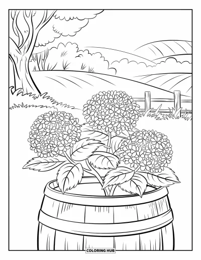 Coloriage de bleu pour enfants : Un grand hortensia posé sur un tonneau en bois à la campagne