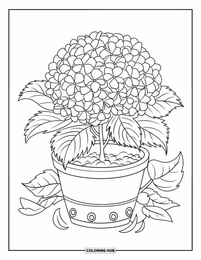 Coloriage de bleu pour enfants : Un hortensia en pot en pleine floraison avec des pétales tombés à côté