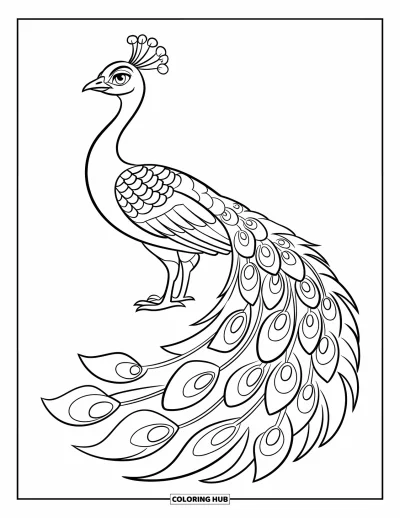 Coloriage de bleu pour enfants : Un joli paon immobile avec sa queue repliée derrière lui