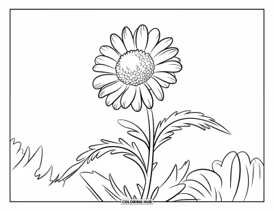 Coloriage de bleu pour enfants : Un seul bleuet dressé avec de larges pétales hérissés