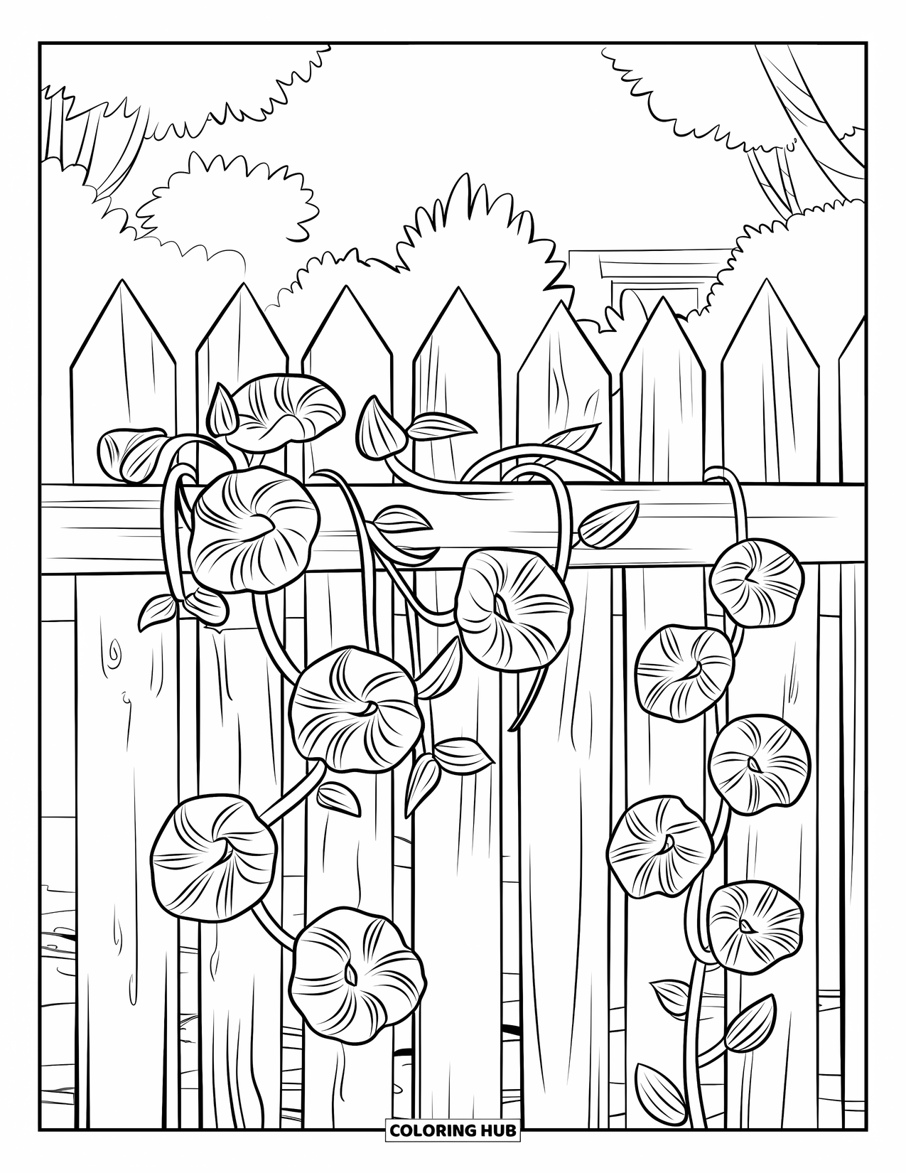 Blue Coloring Page for Kids: Morning glories climbing up a wooden fence in a peaceful setting