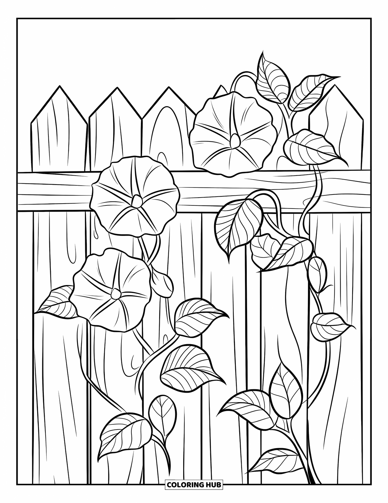Blue Coloring Page for Kids: Striped morning glories climbing a rustic wooden fence in bright light