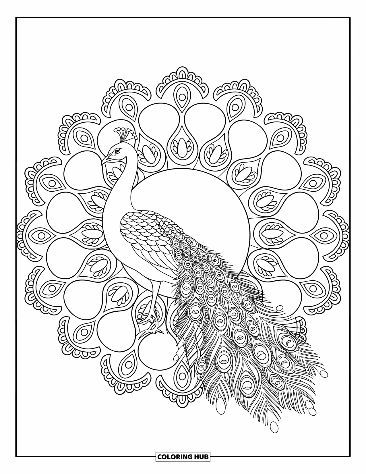 Diwali Coloring Page for Adults: A peacock and paisley mandala radiate with intricate outlines