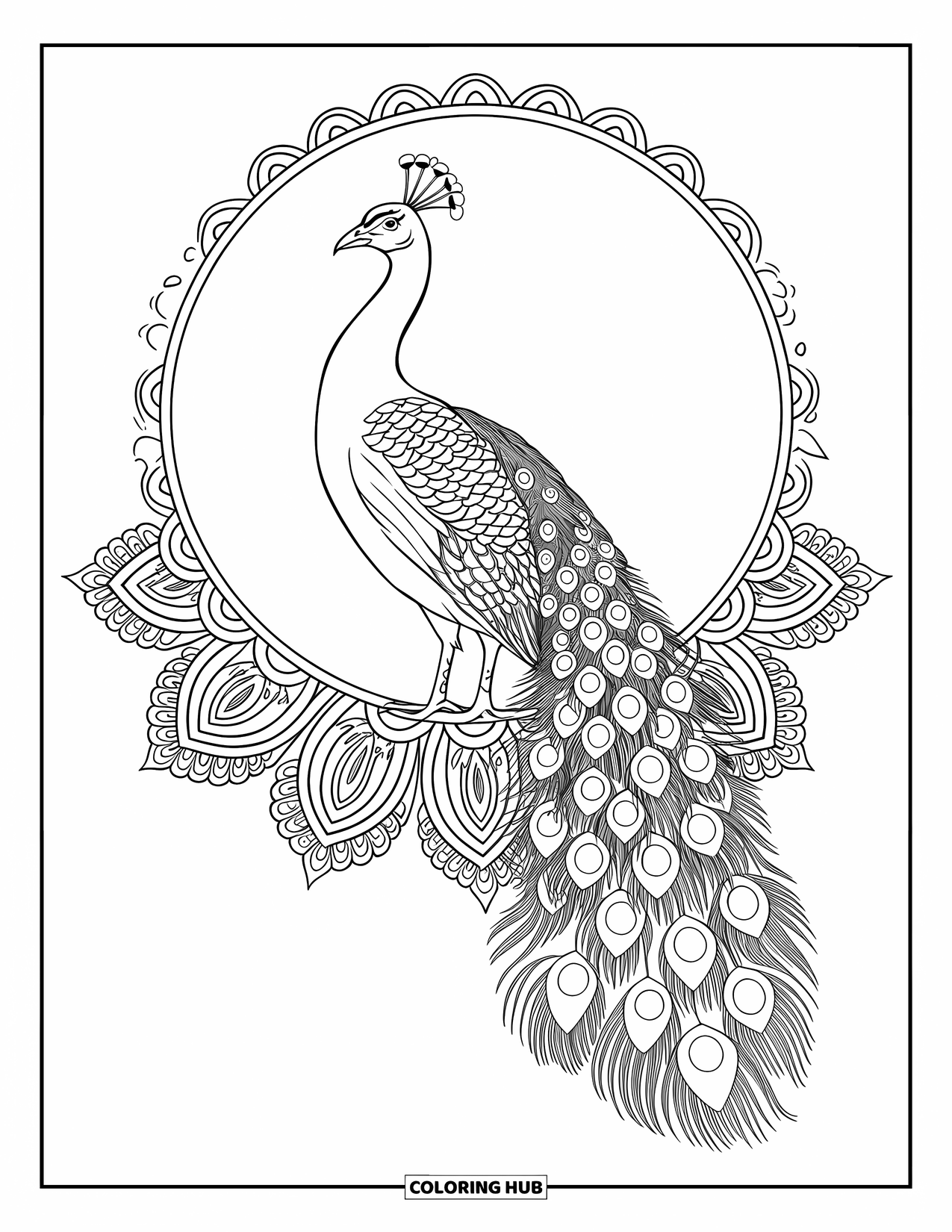 Diwali Coloring Page for Adults: A peacock displays its detailed feathers in a mandala circle
