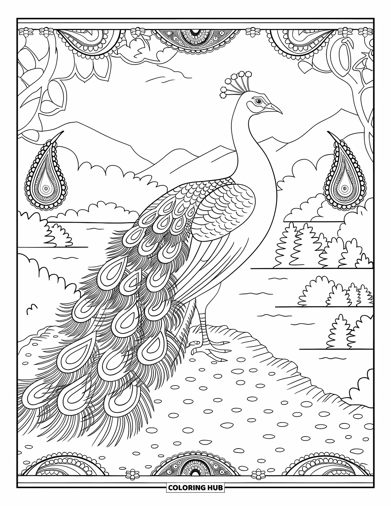 Diwali Coloring Page for Adults: A peacock with full plumage stands within paisley designs