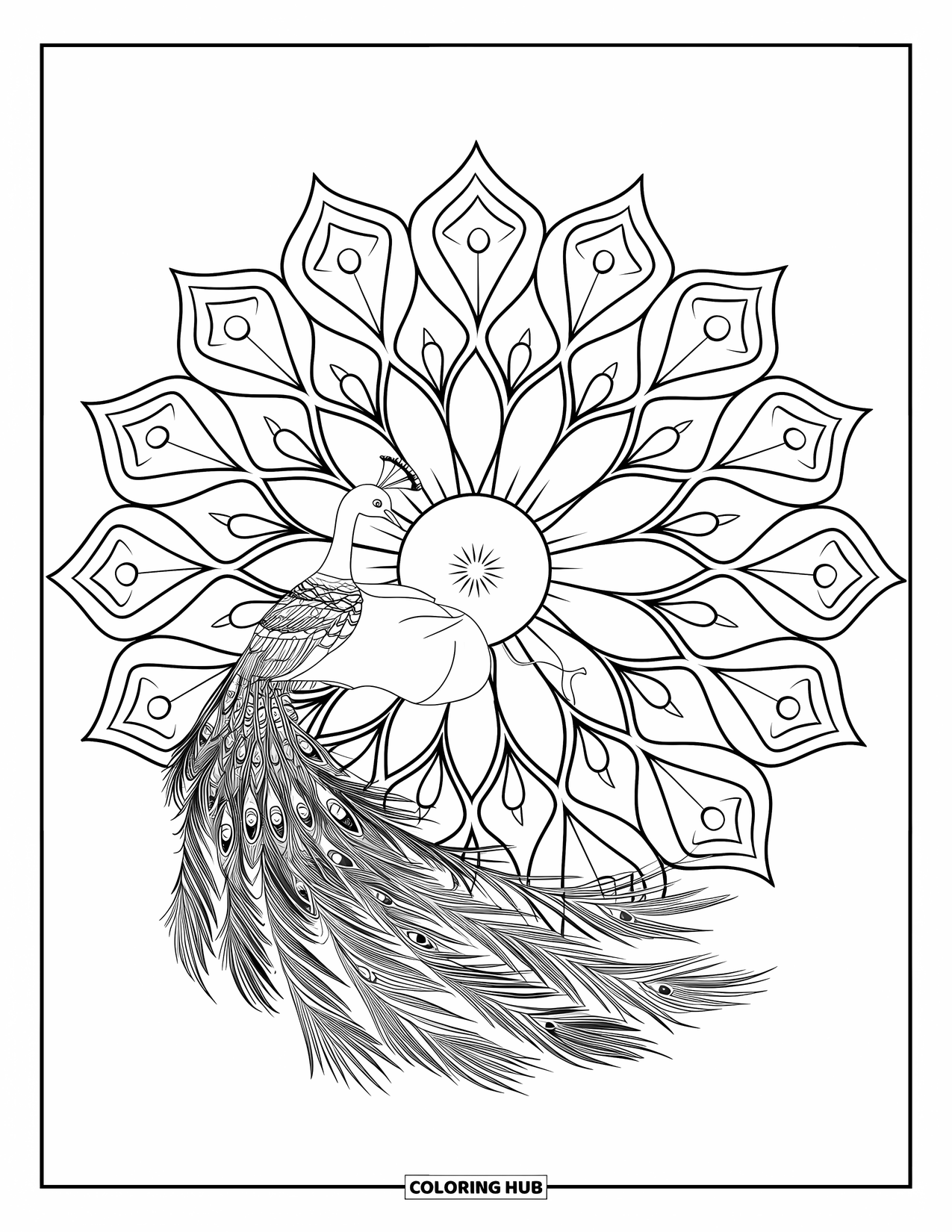 Diwali Coloring Page for Kids: A peacock dances before a detailed floral rangoli design