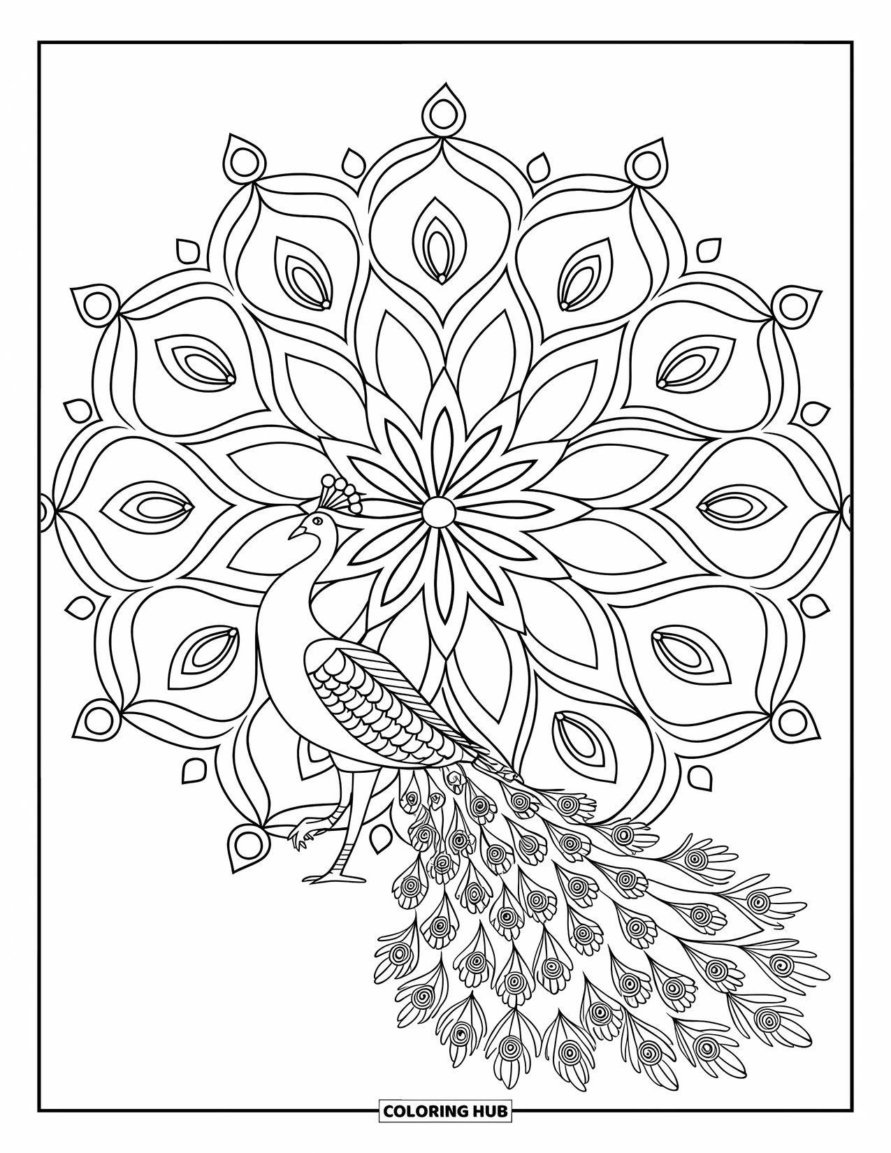 Diwali Coloring Page for Kids: A proud peacock spreads its feathers near a glowing rangoli