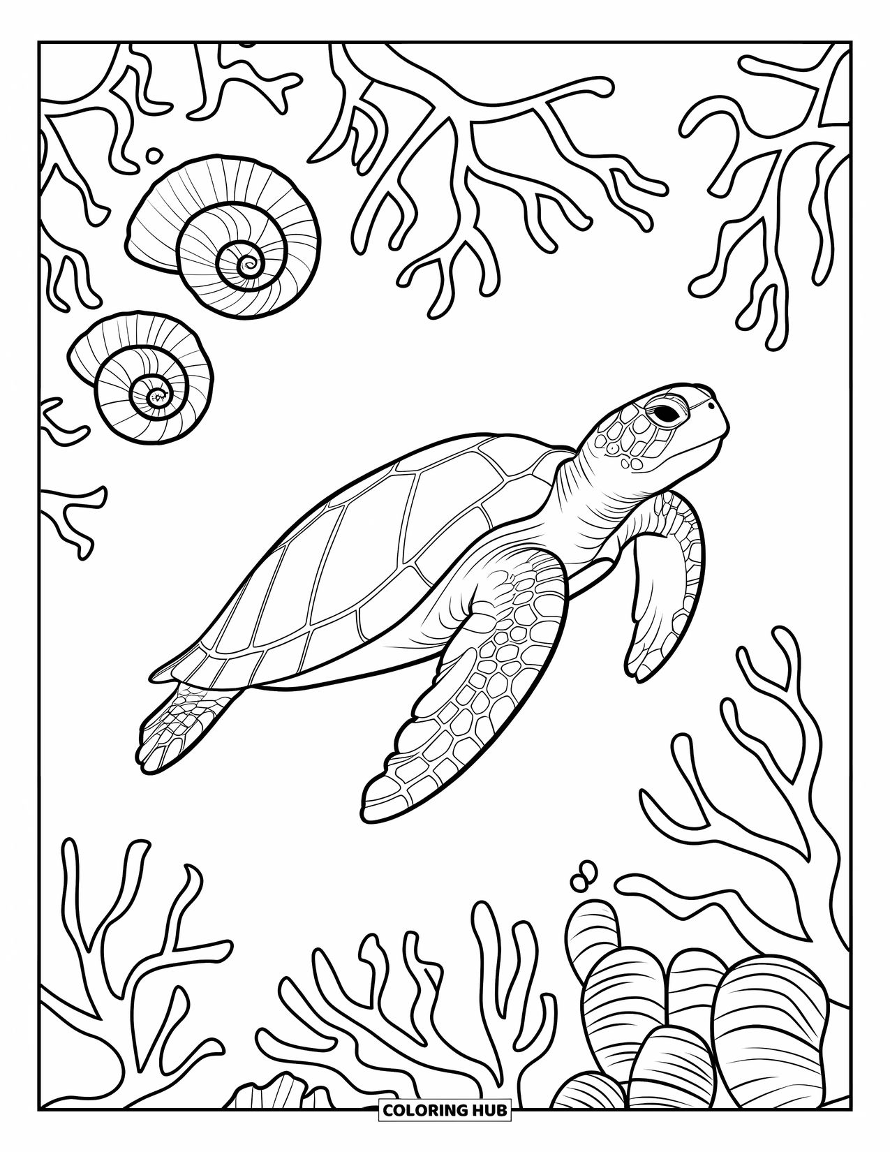 Underwater Coloring Page for Adults: A sea turtle swims through spiral shells and branching coral