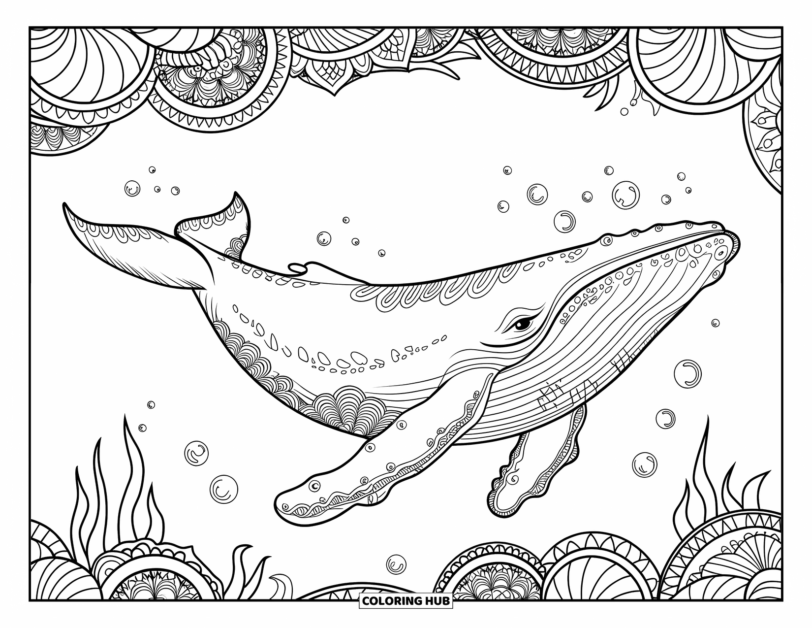 Underwater Coloring Page for Adults: A whale swims among mandala bubbles and reef patterns underwater