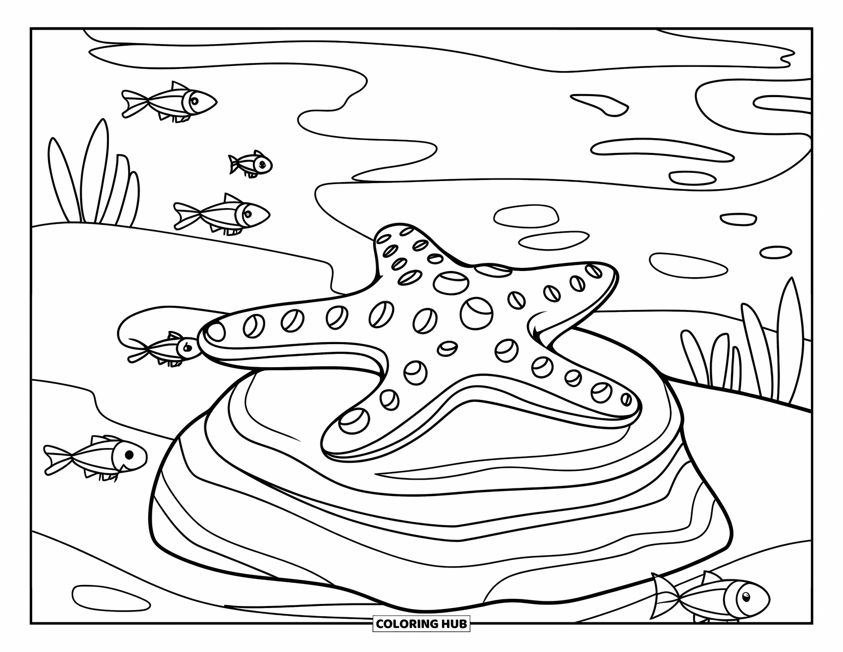 Underwater Coloring Page for Kids: A cheerful starfish rests among underwater rocks and plants