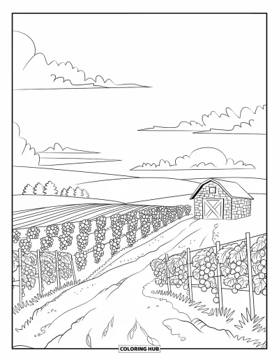Coloriage de vacances pour adultes : Un vignoble paisible avec une grange, un chemin et des rangées de vignes aux motifs ornés